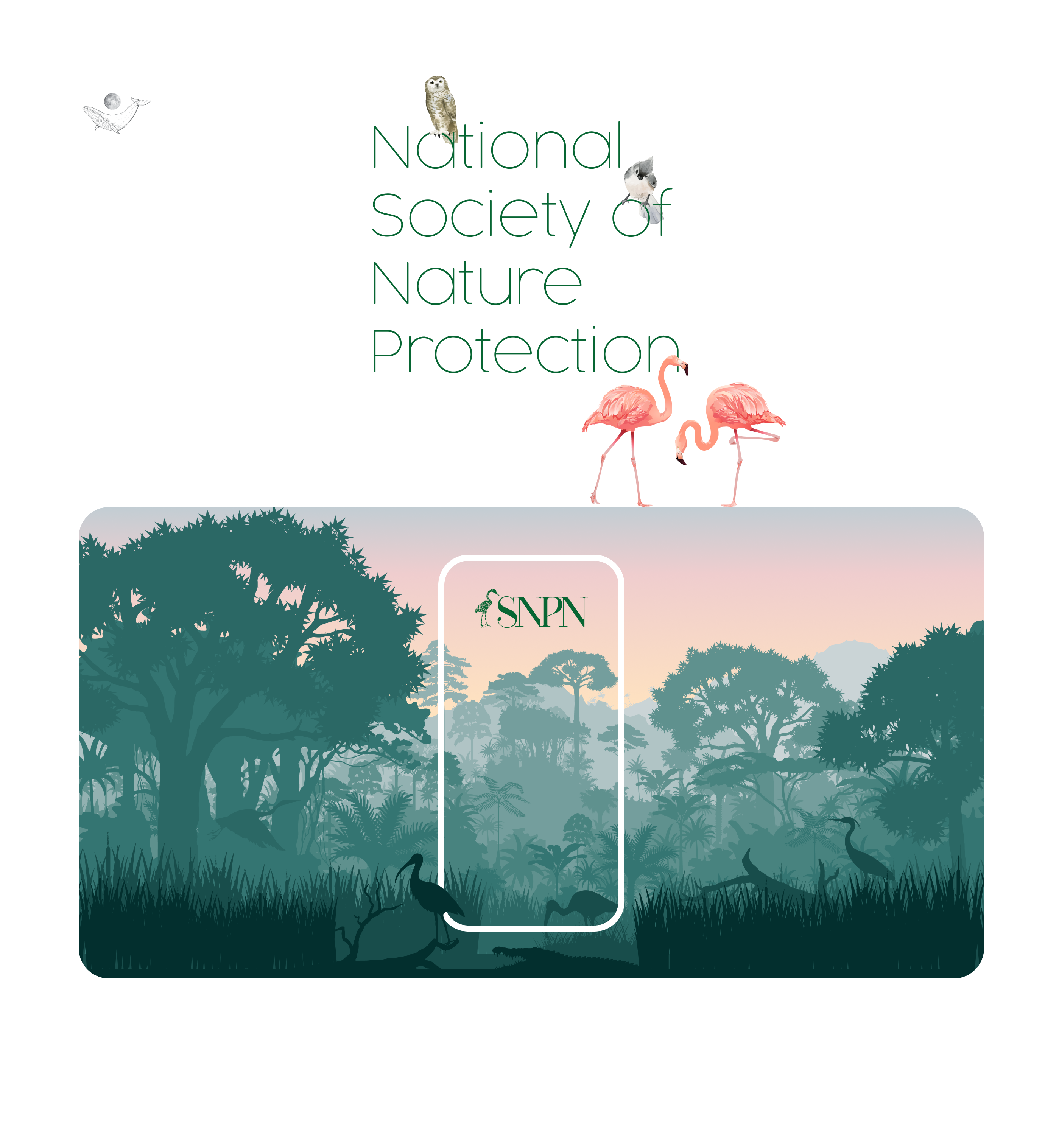 SNPN UI UX portfolio