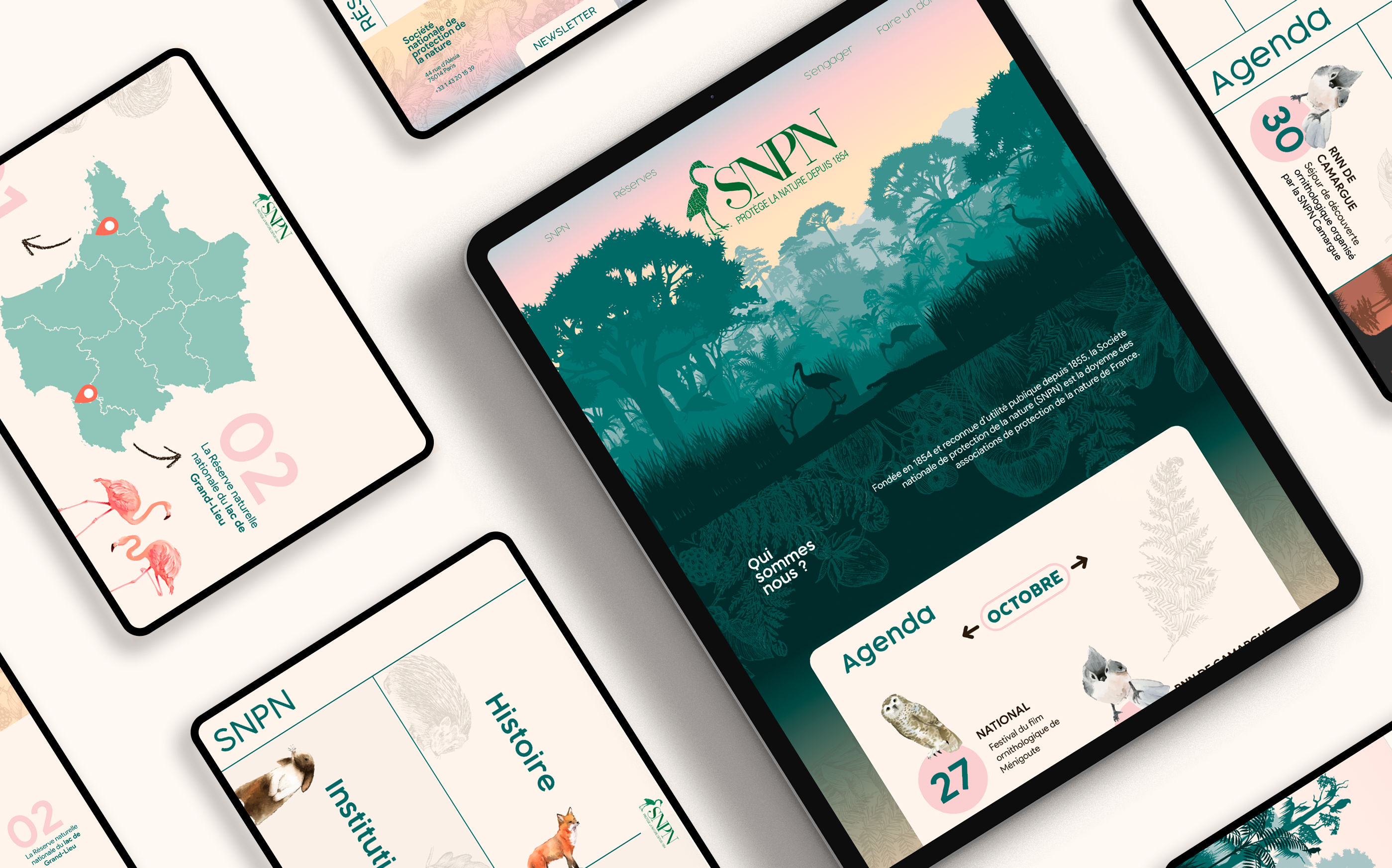 SNPN UI UX portfolio