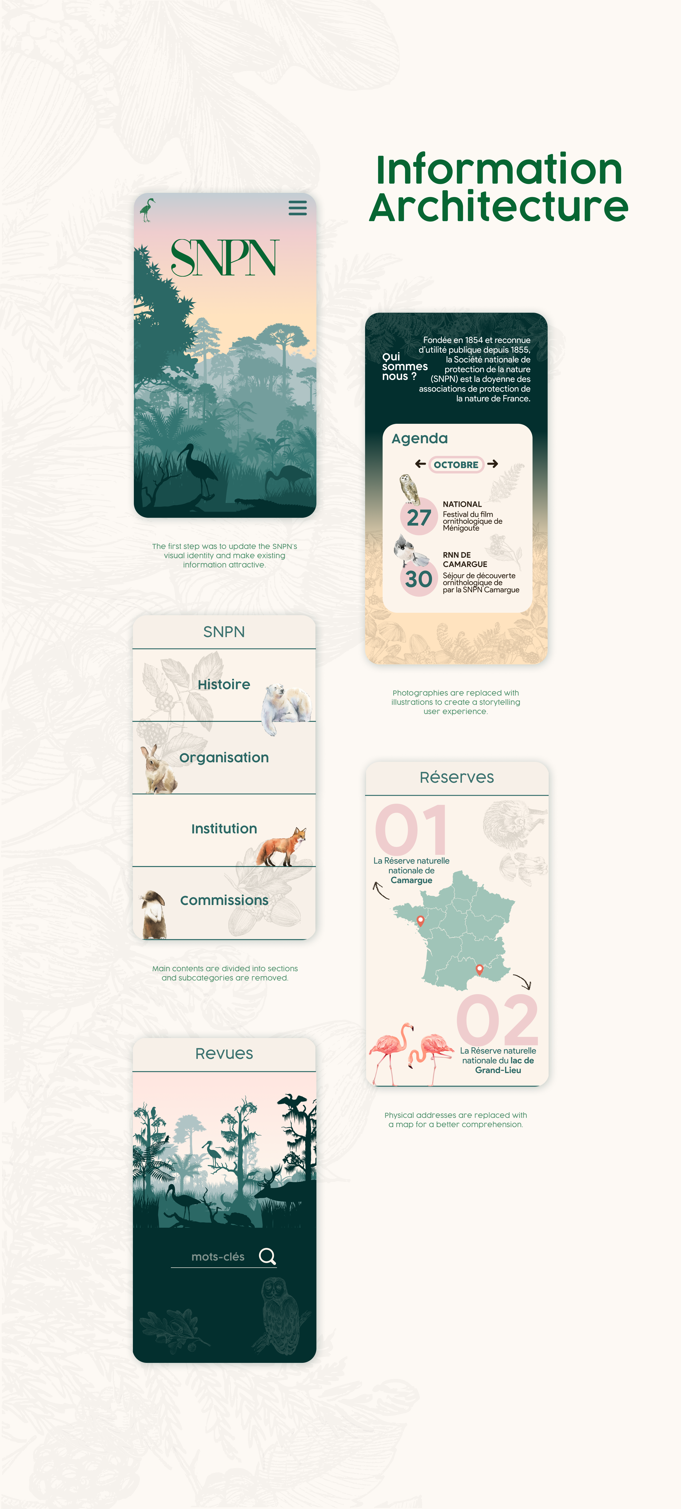 SNPN UI UX portfolio