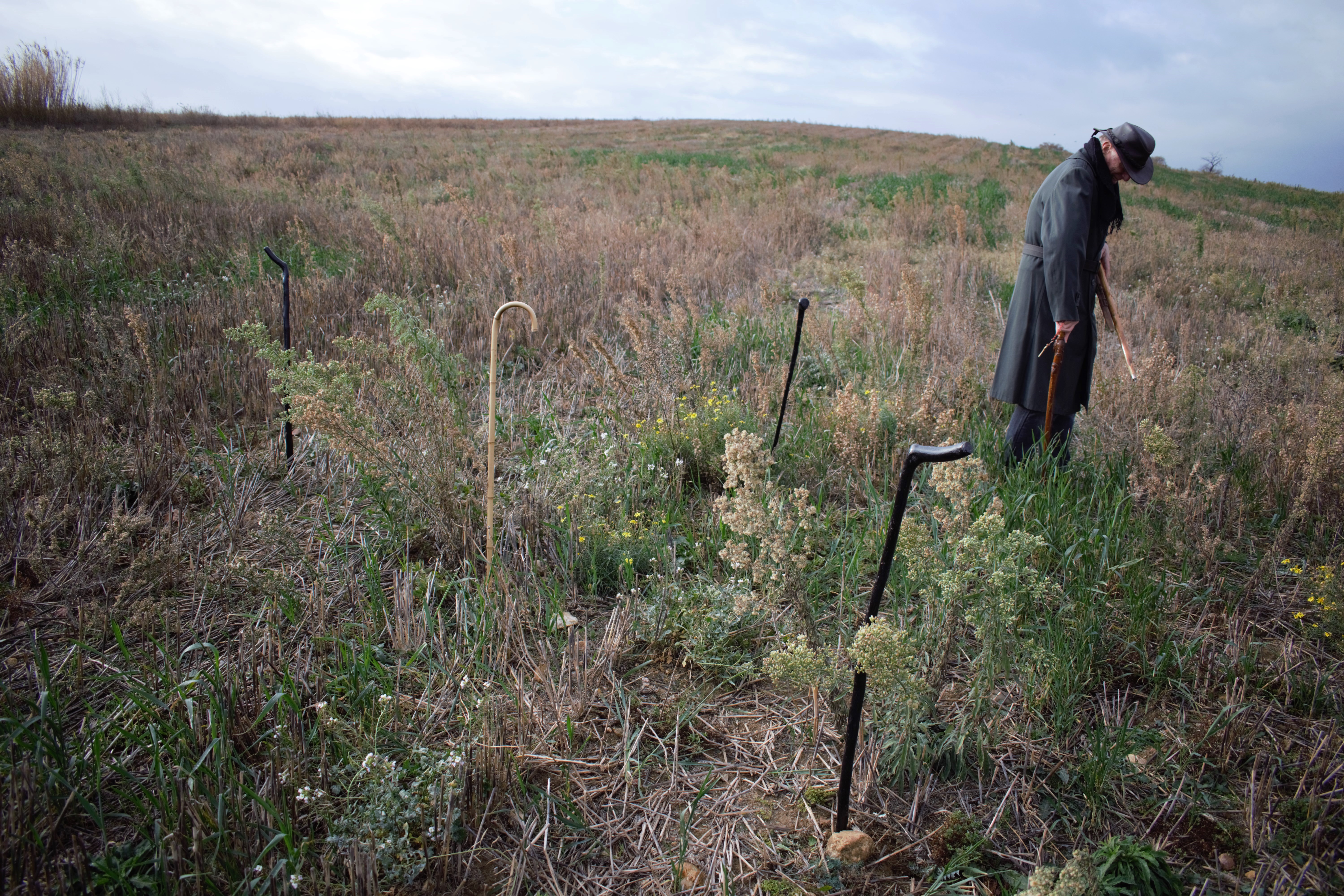 A man wearing a coat and hat plants wooden canes in the field