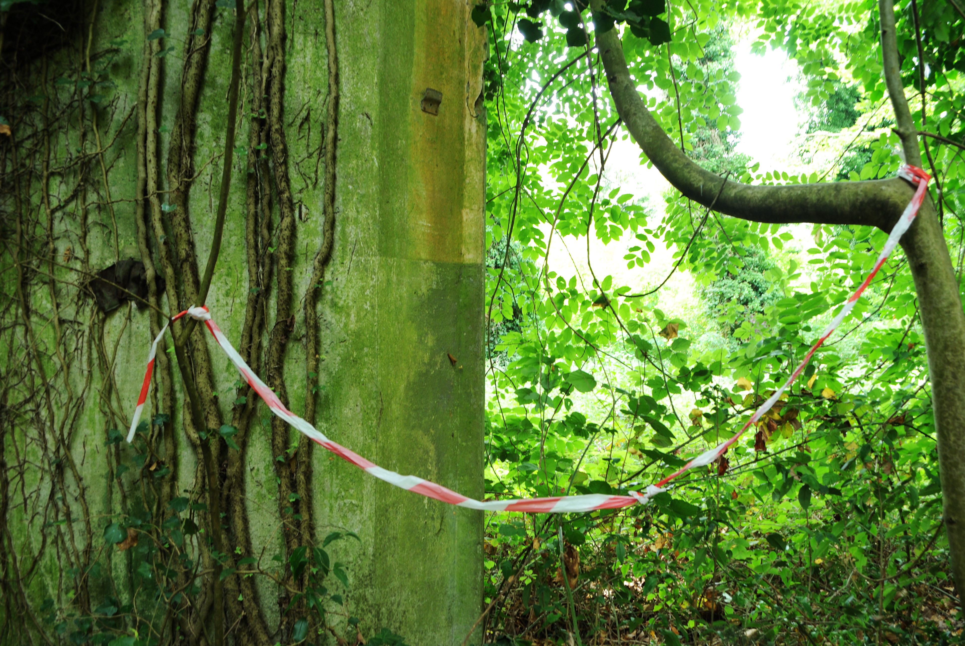 A concrete wall on the left and nature on the right connected by a white and red construction tape