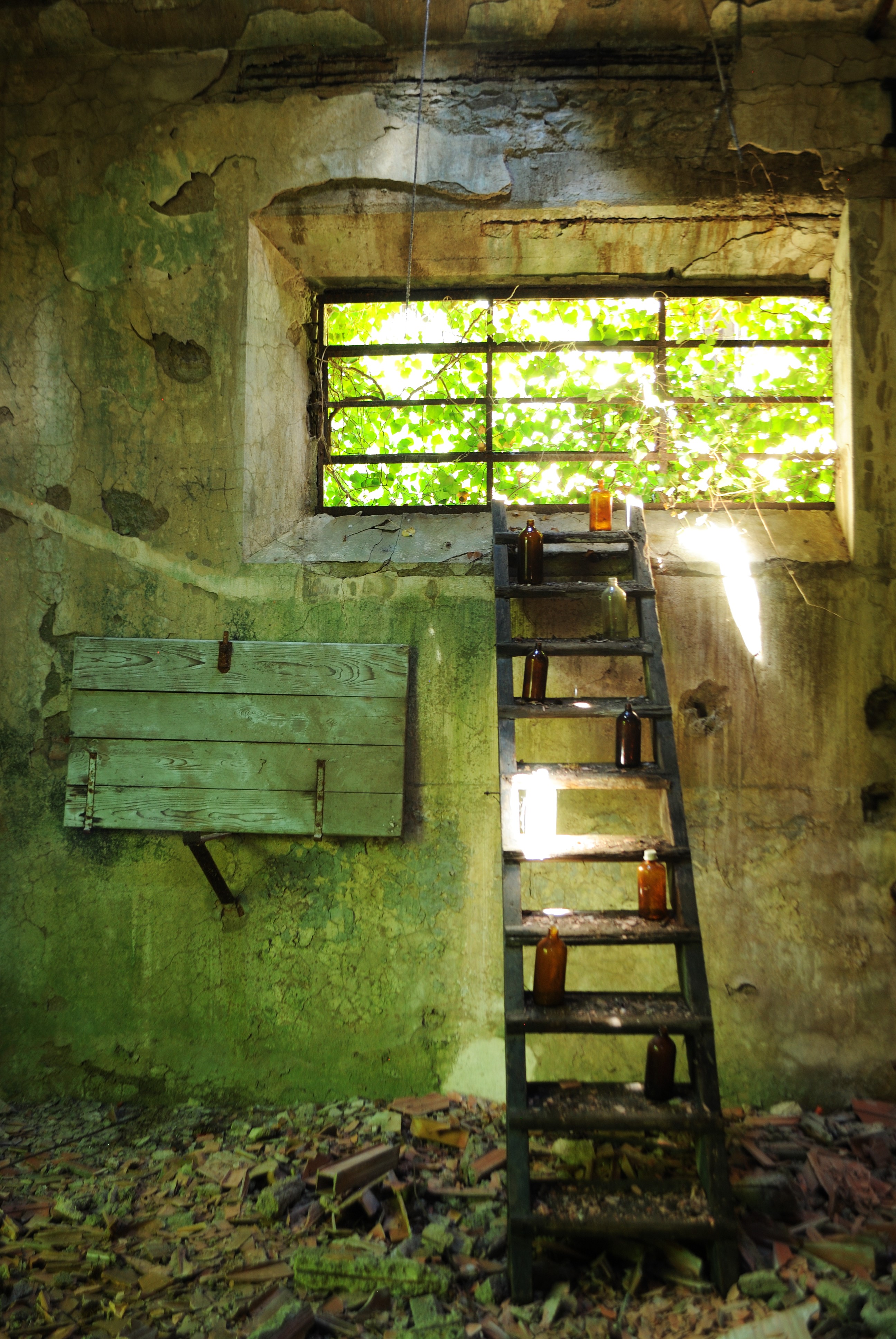  A degraded wall with a small barred window at the top right on which is placed a wooden ladder with brown bottles on each step