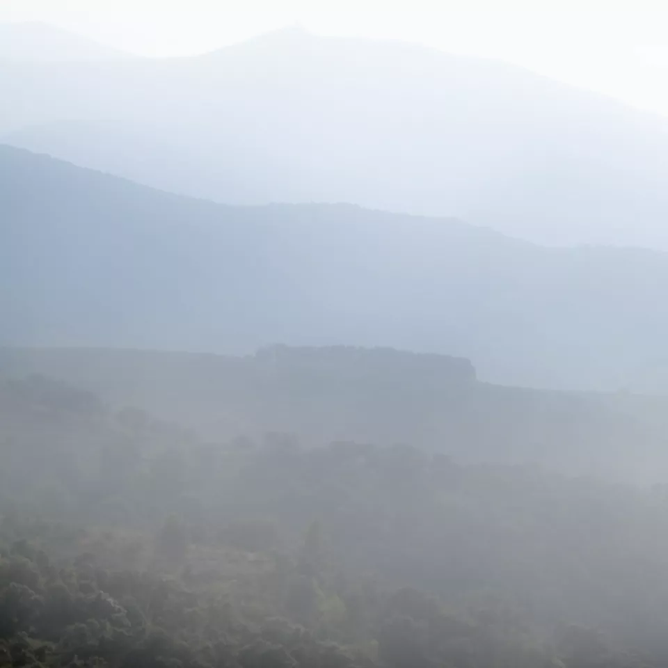 Foggy mountains landscape