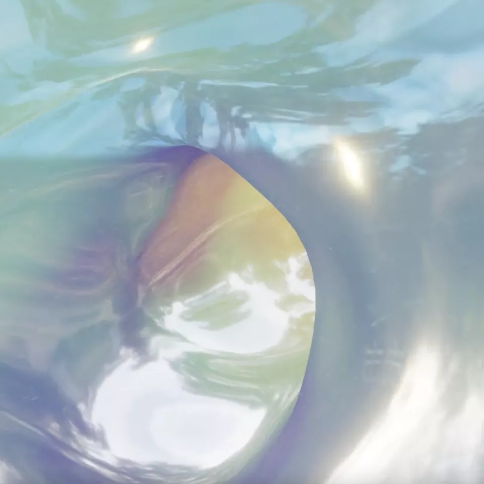 Interior of a water tunnel reflecting the exterior landscape